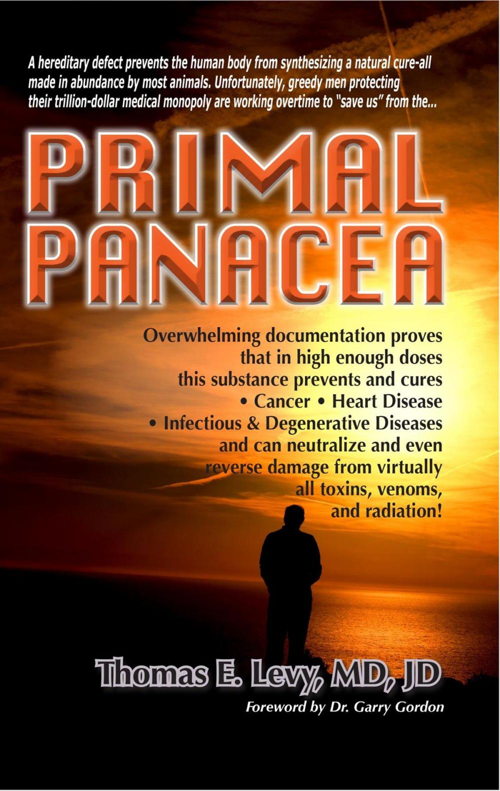 Big bigCover of Primal Panacea