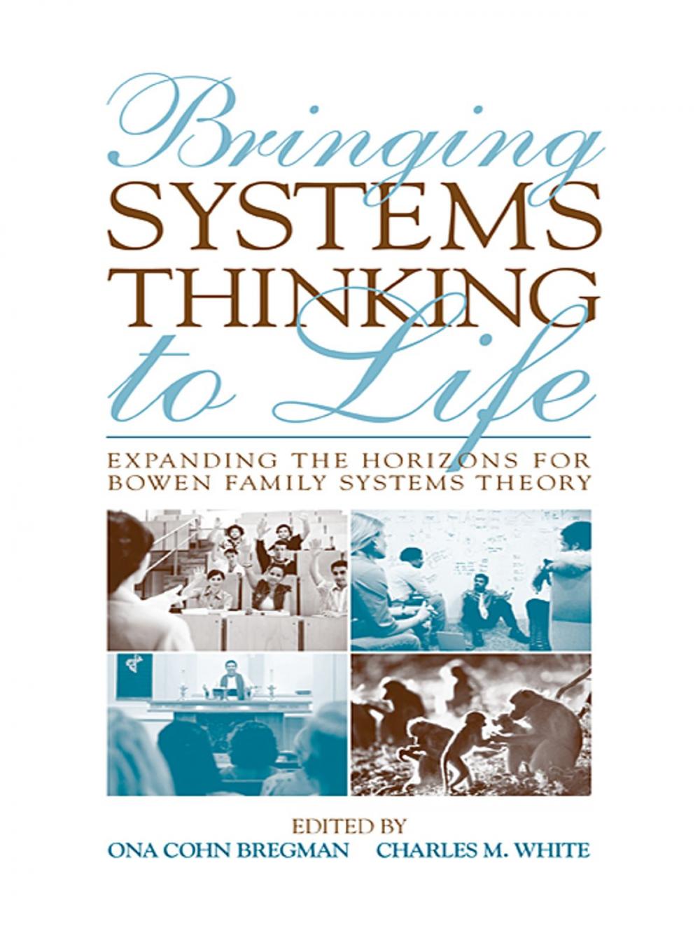 Big bigCover of Bringing Systems Thinking to Life