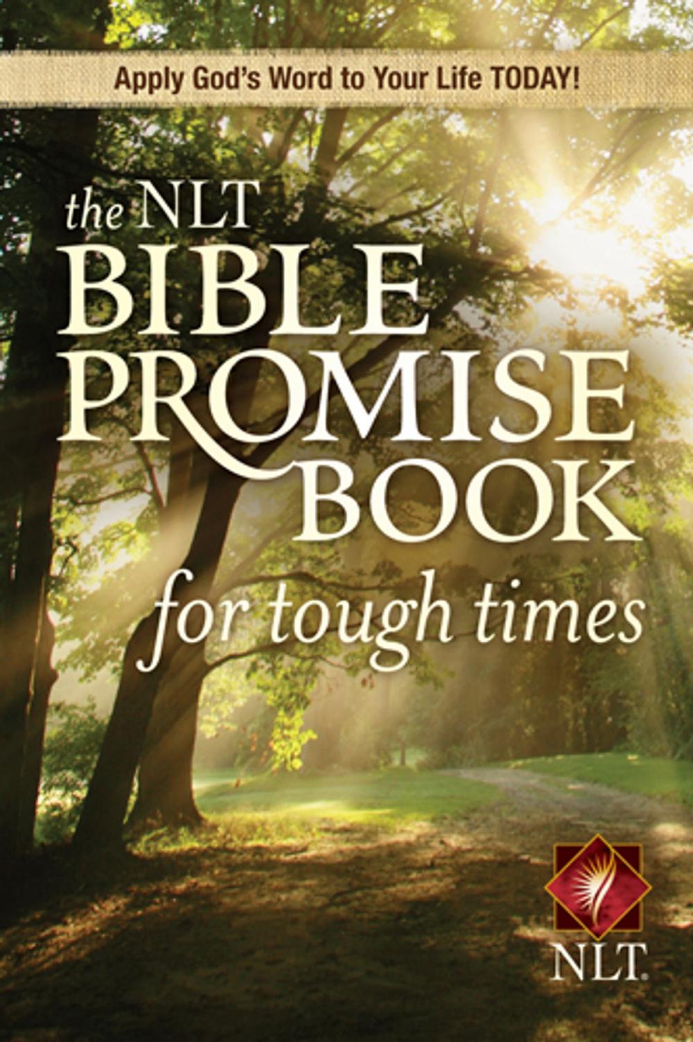 Big bigCover of The NLT Bible Promise Book for Tough Times