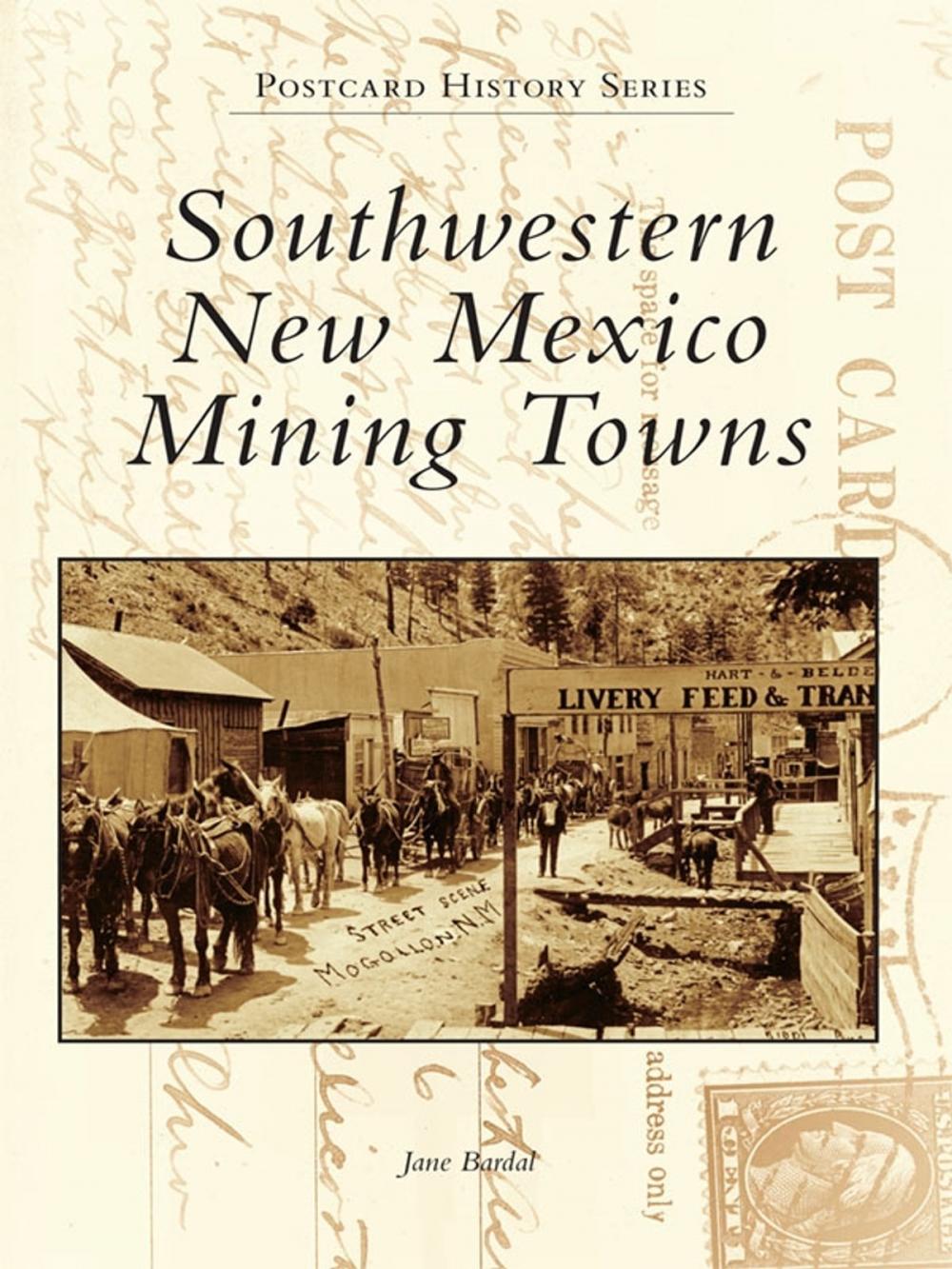 Big bigCover of Southwestern New Mexico Mining Towns