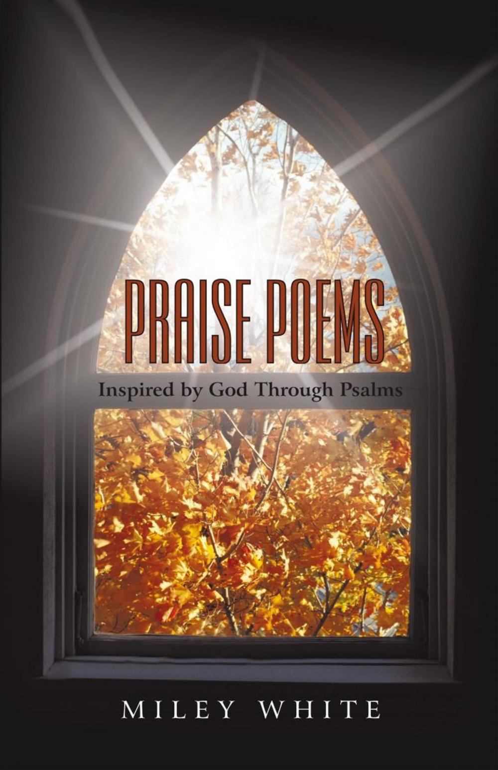 Big bigCover of Praise Poems