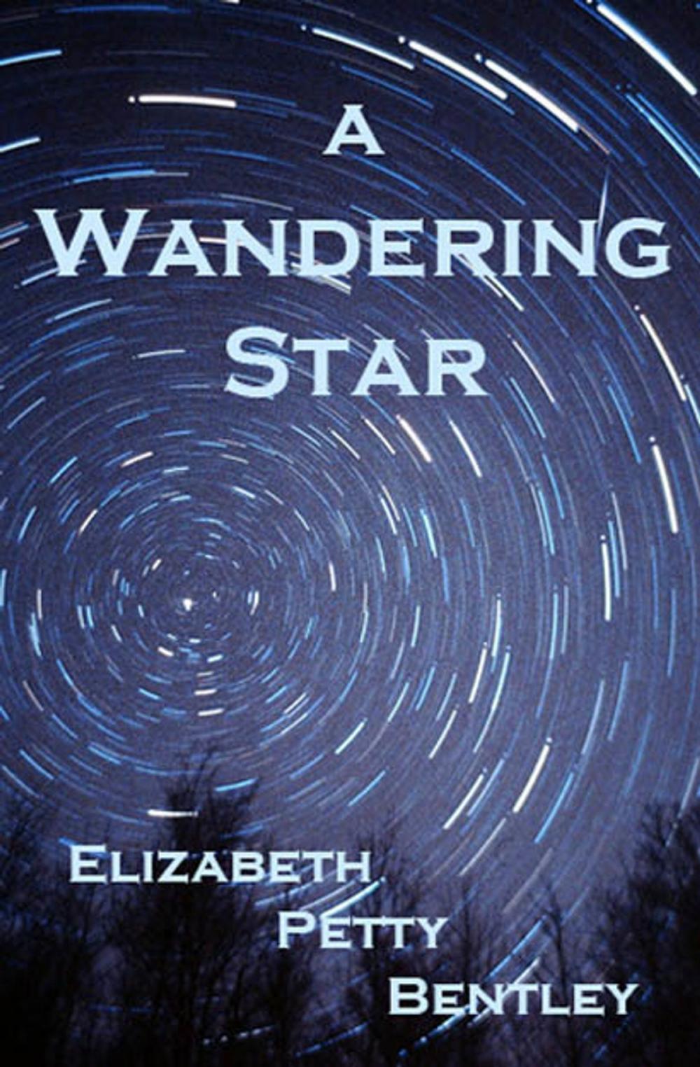 Big bigCover of A Wandering Star