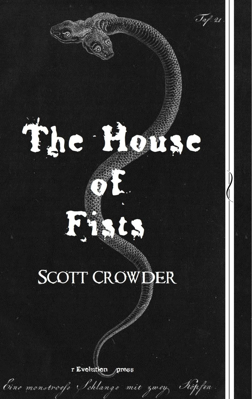 Big bigCover of The House of Fists