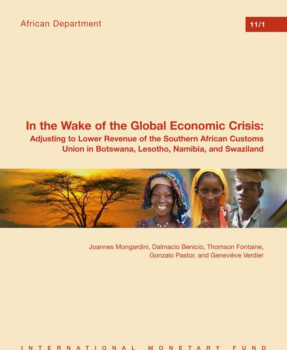 Big bigCover of In the Wake of the Global Economic Crisis: Adjusting to Lower Revenue of the Southern African Customs Union in Botswana, Lesotho, Namibia, and Swaziland