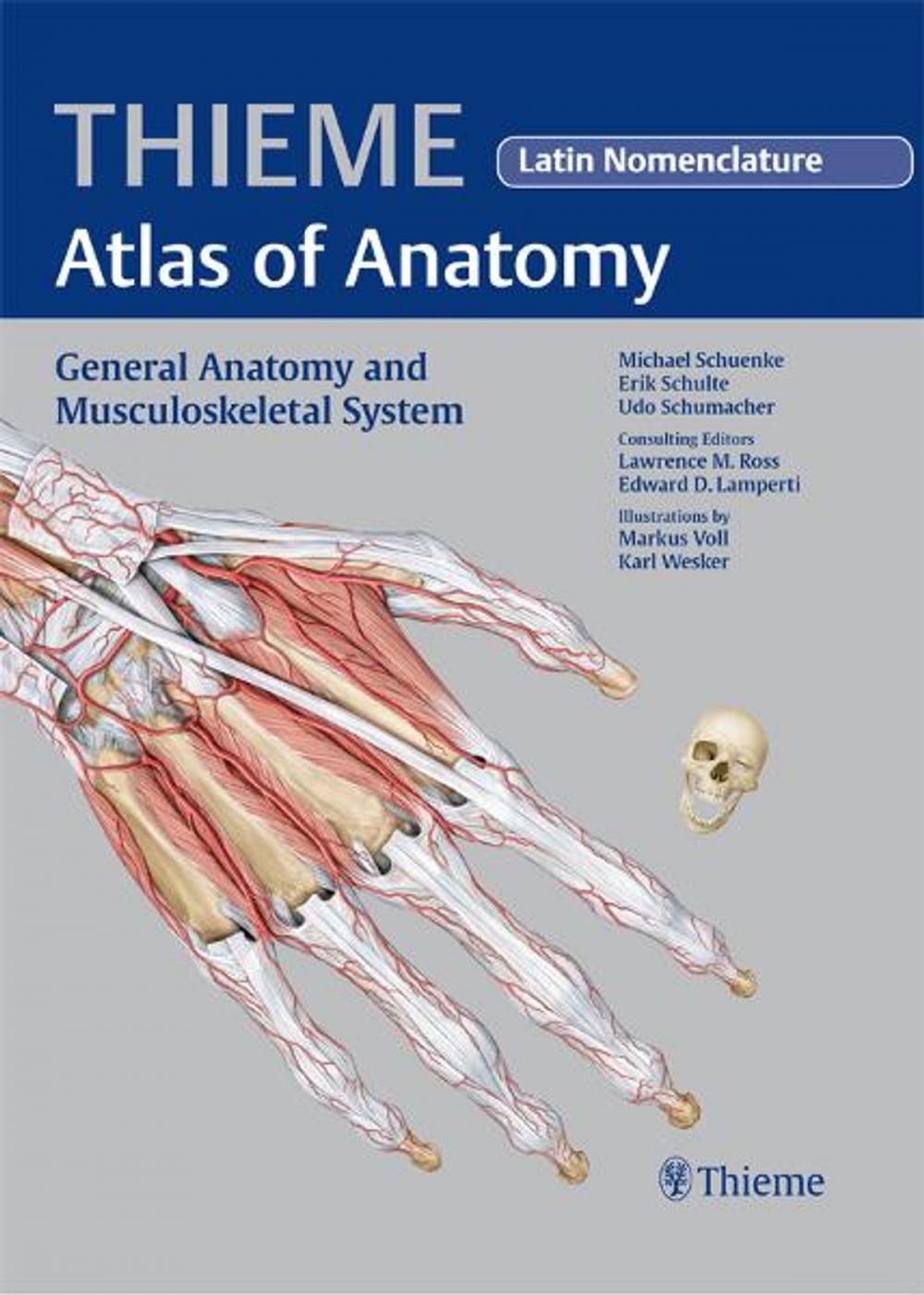 Big bigCover of General Anatomy and Musculoskeletal System - Latin Nomencl. (THIEME Atlas of Anatomy)