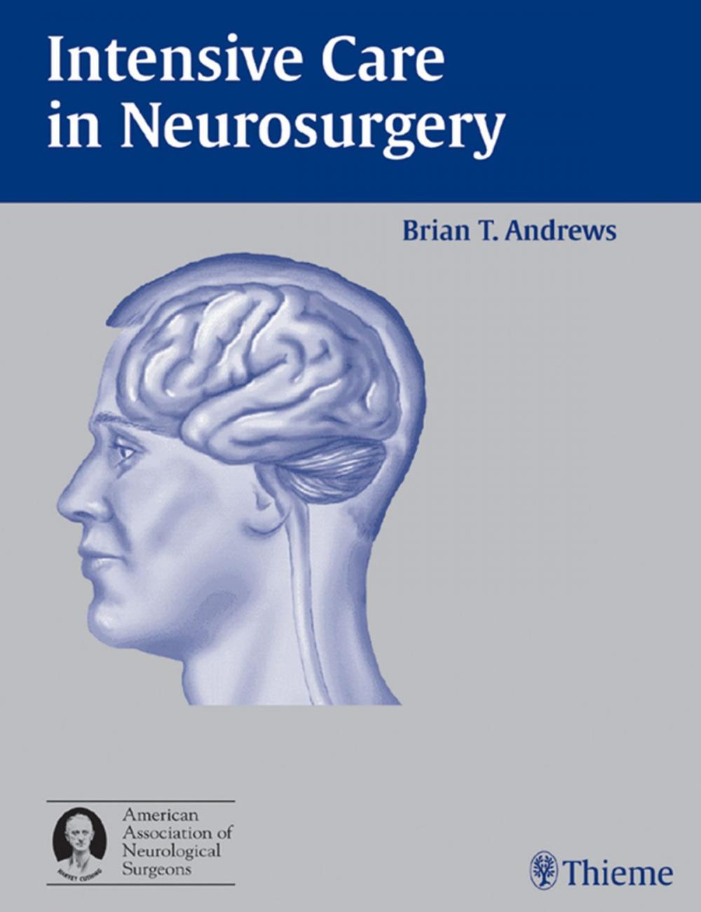 Big bigCover of Intensive Care in Neurosurgery