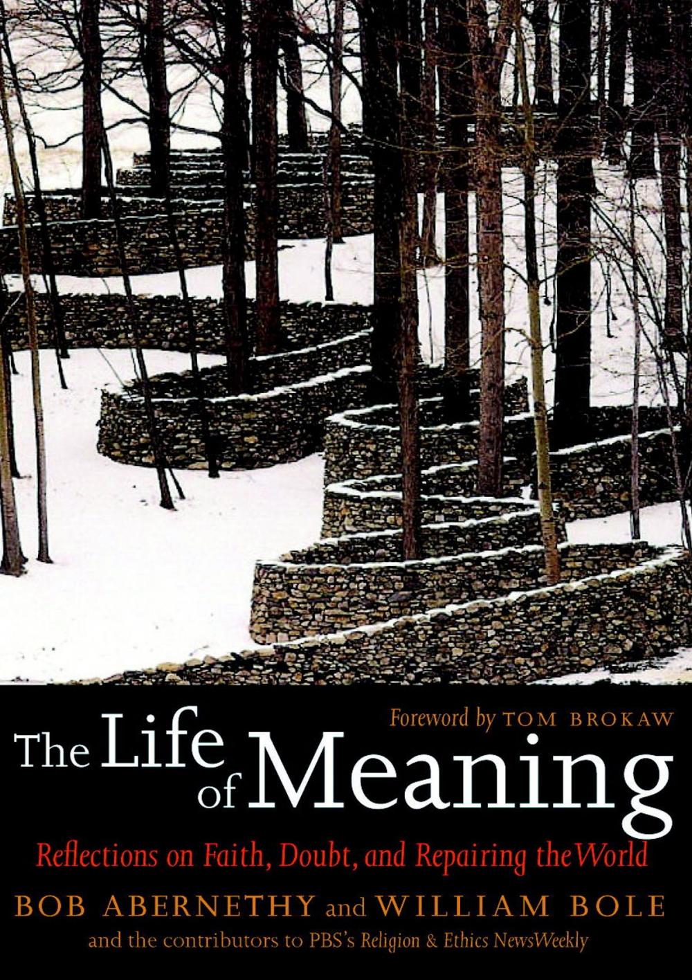 Big bigCover of The Life of Meaning