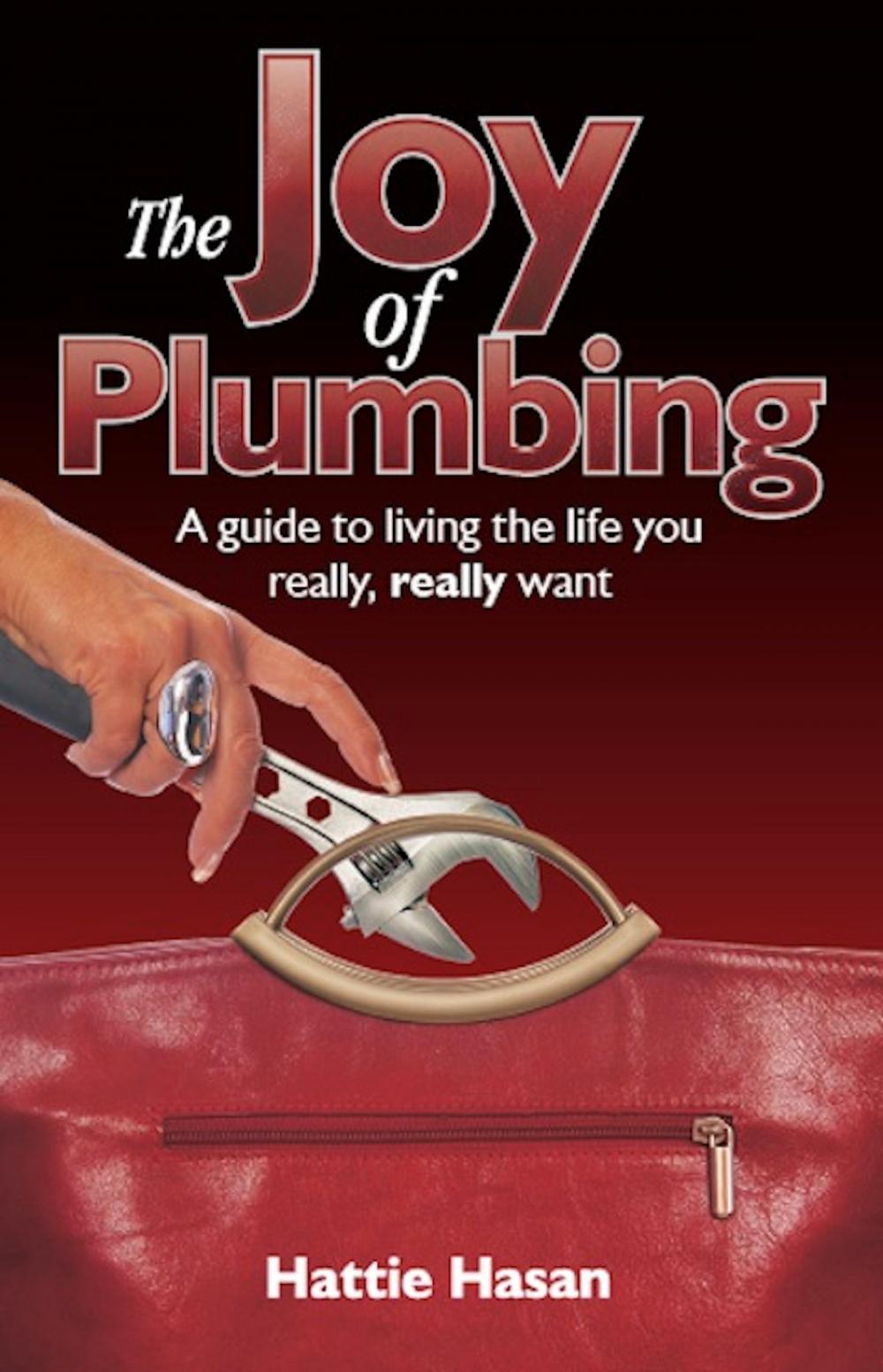 Big bigCover of The Joy of Plumbing: A Guide to Living the Life You Really, Really Want