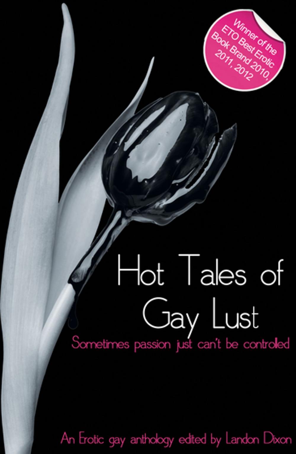 Big bigCover of Hot Tales of Gay Lust