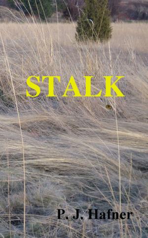 Book cover of Stalk