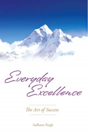 Cover of Everyday Excellence