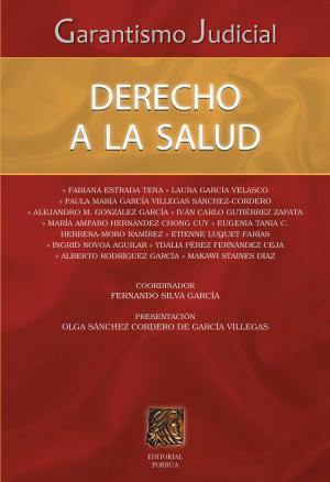 Cover of the book Garantismo judicial: Derecho a la salud by Fernando Silva García (Coordinador)