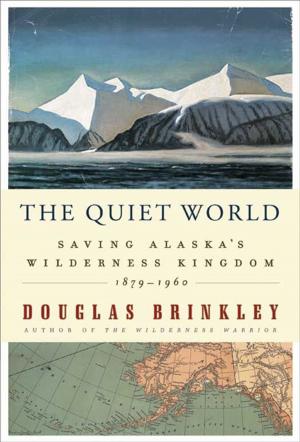 bigCover of the book The Quiet World by 