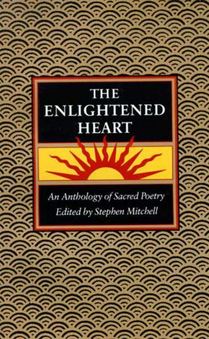 Cover of the book The Enlightened Heart by Bernard Goldberg