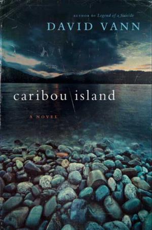 Cover of the book Caribou Island by Morgen Bailey