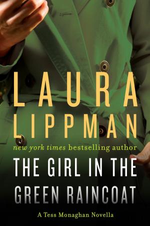 Book cover of The Girl in the Green Raincoat