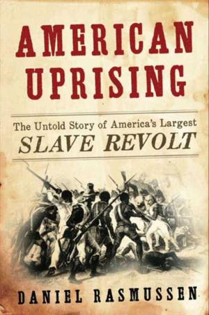 Cover of the book American Uprising by Judah Friedlander