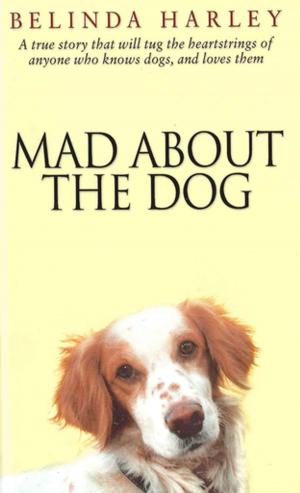 Cover of the book Mad About the Dog by Alison Campbell