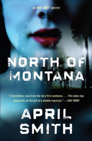 Cover of the book North of Montana by Ian McEwan