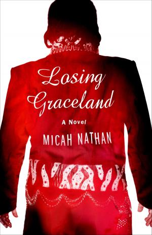 bigCover of the book Losing Graceland by 