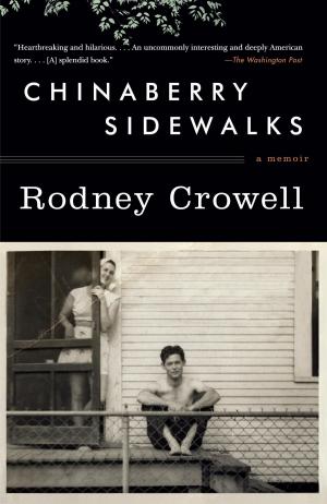 Cover of the book Chinaberry Sidewalks by Diane Lemertz