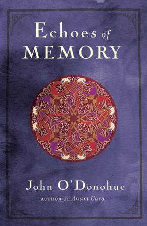 bigCover of the book Echoes of Memory by 