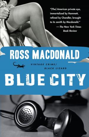 Cover of the book Blue City by David Grossman