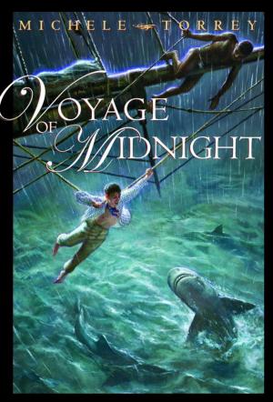 Cover of the book Voyage of Midnight by Marjorie Priceman