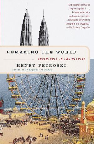Cover of the book Remaking the World by Nell Stevens