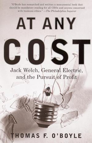 Cover of the book At Any Cost by Valerie Martin