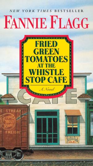 Cover of the book Fried Green Tomatoes at the Whistle Stop Cafe by Simon Amstell