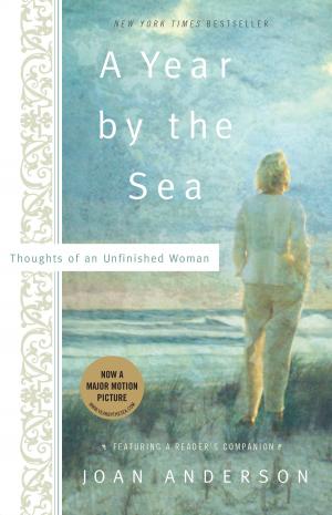 Cover of the book A Year by the Sea by Terry McNiff