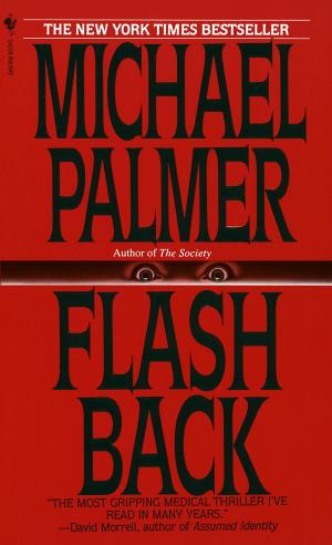 Cover of the book Flashback by H. G. Adler