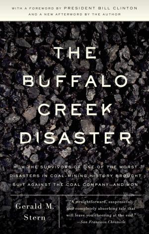Cover of the book The Buffalo Creek Disaster by Robert Karen, Ph.D.