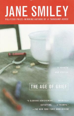 Book cover of The Age of Grief