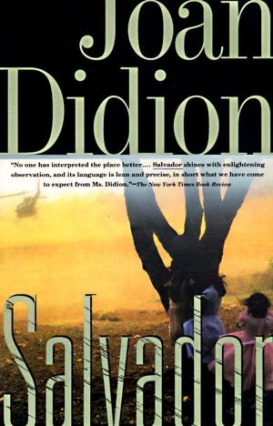 Cover of the book Salvador by Warren Littlefield