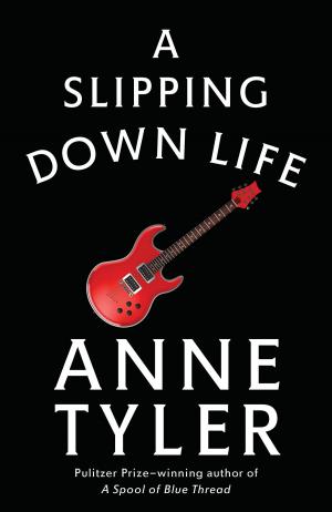 Cover of the book A Slipping-Down Life by Richard Z. Chesnoff