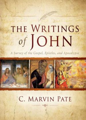 Cover of the book The Writings of John by Zondervan