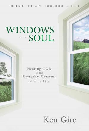 Cover of the book Windows of the Soul by John Townsend