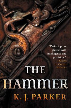 Book cover of The Hammer