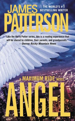 Cover of the book Angel - Free Preview: First 23 Chapters by Elise Parsley