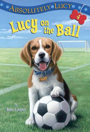 Book cover of Absolutely Lucy #4: Lucy on the Ball