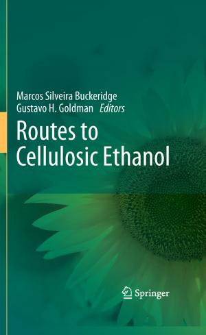 Cover of the book Routes to Cellulosic Ethanol by Malka Margalit
