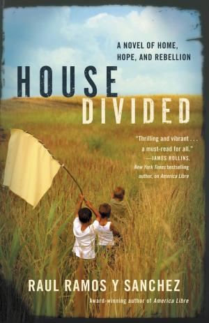 Cover of the book House Divided by Tara Leigh