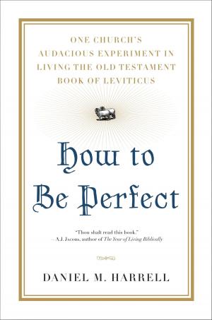 Cover of the book How to Be Perfect by Mark Merrill, Susan Merrill