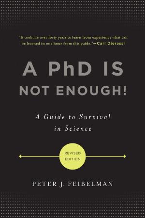 Cover of the book A PhD Is Not Enough! by David Spiegel, Catherine Classen