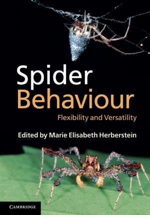 Cover of the book Spider Behaviour by Piet Groeneboom, Geurt Jongbloed