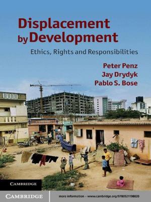 Book cover of Displacement by Development