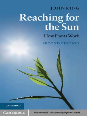 Book cover of Reaching for the Sun