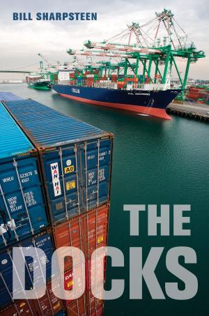 Cover of the book Docks by 